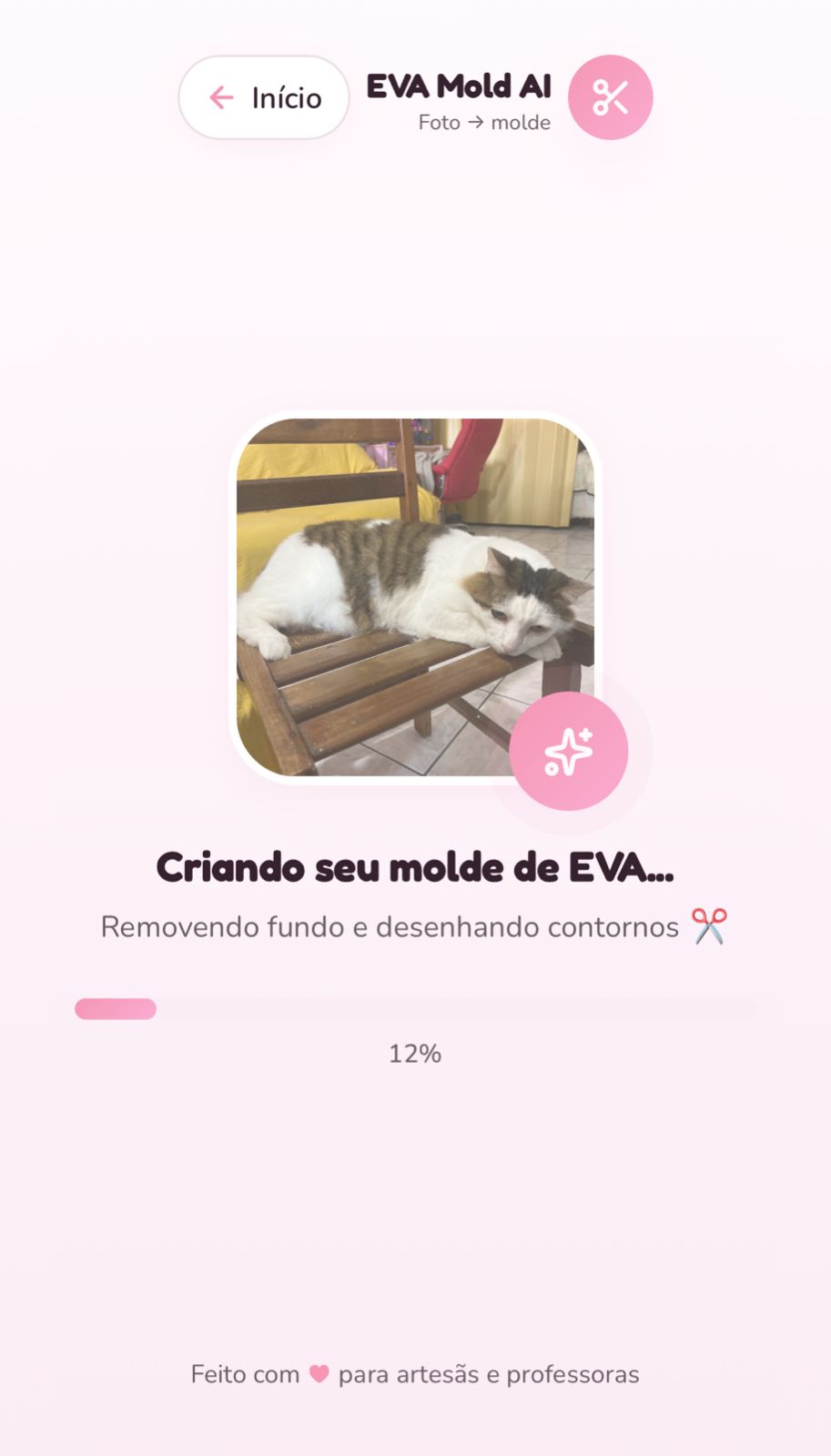 Foto enviada — Gato (foto real)